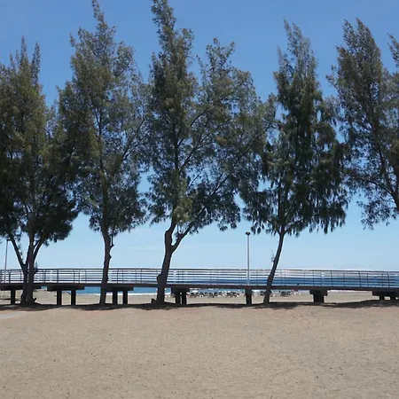 Vacacional San Agustin Apartment *